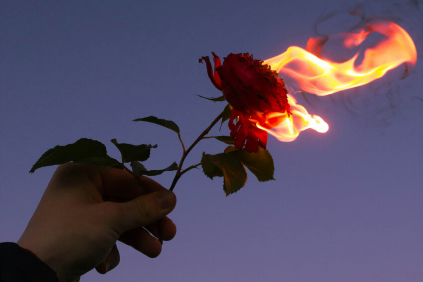 A hand holding a burning rose at twilight