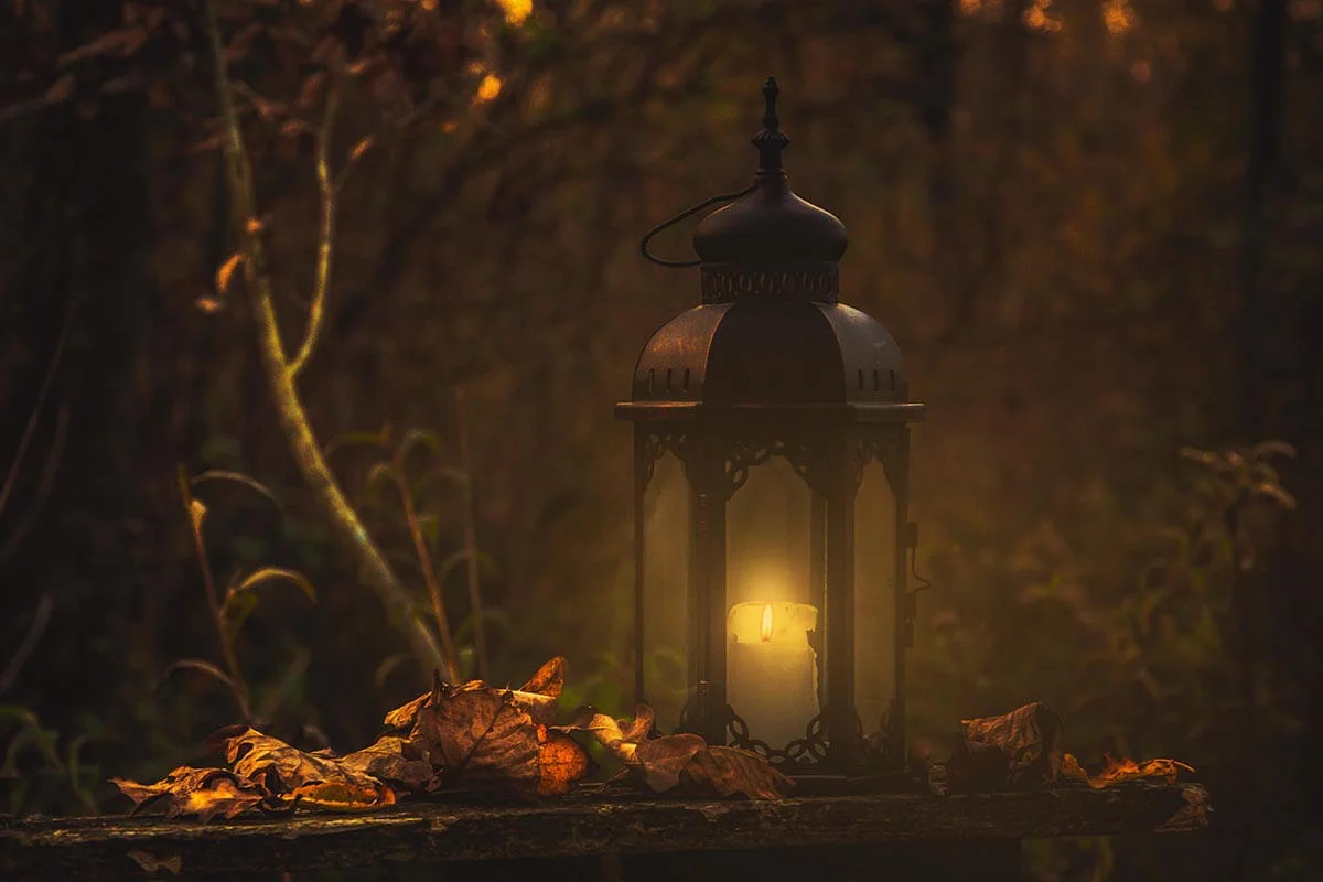 A dimly lit lantern in a dark forest surrounded by autumn leaves