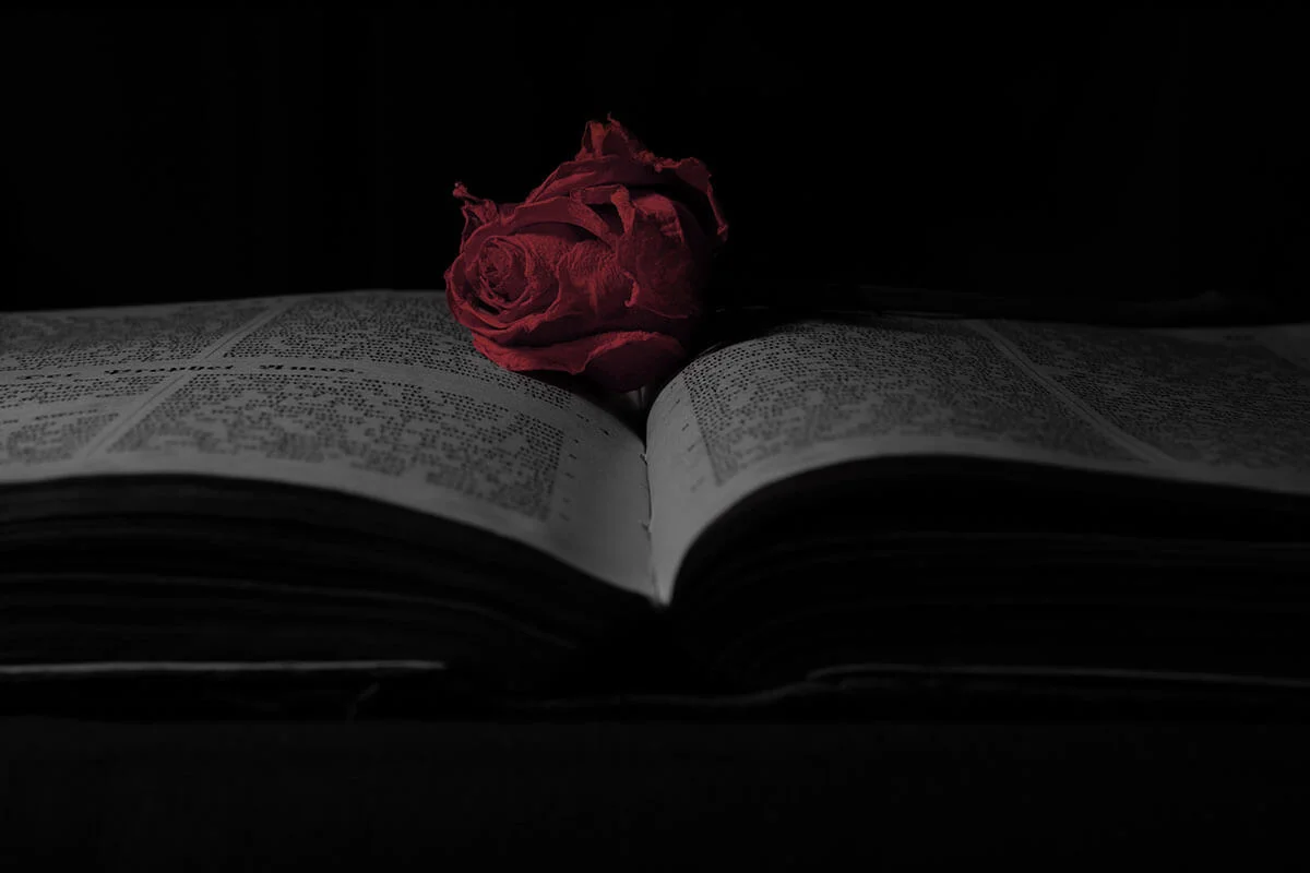 A dimly lit rose lying on top of an open book